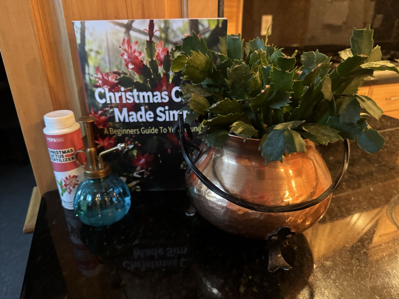Christmas Cactus with a beginners book and fertilizer as well as the blue mister