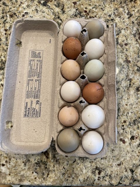 Fresh eggs by the dozen