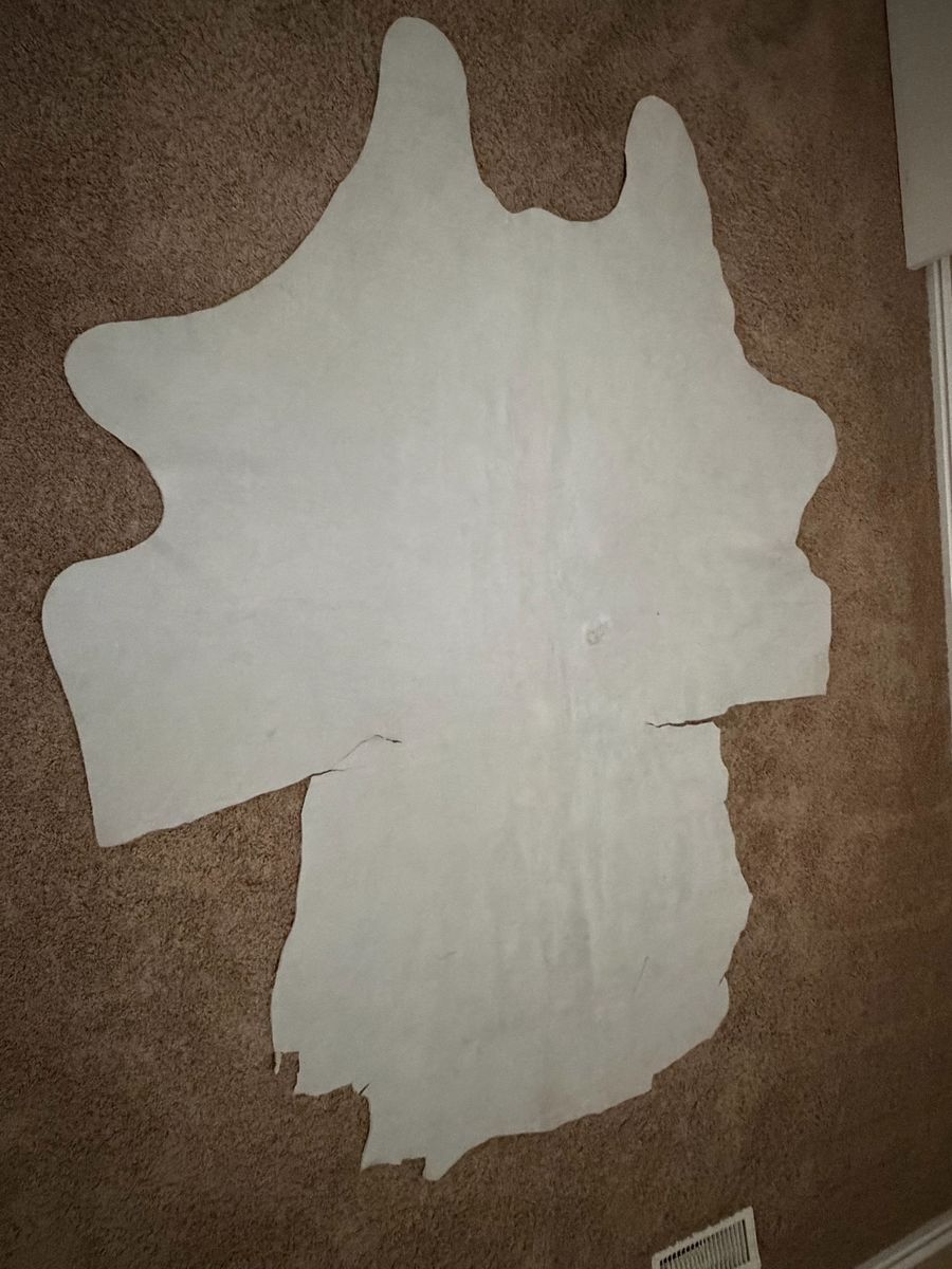 Main image 11