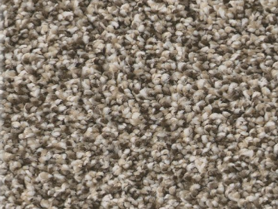 Carpet Remnant