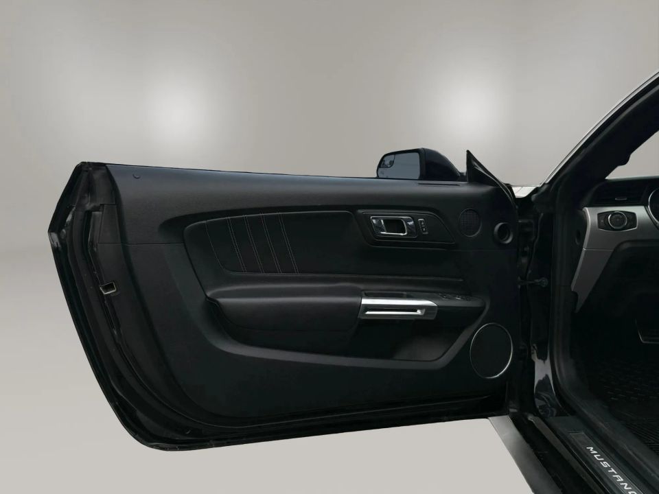 Main image 11