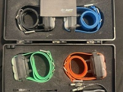 Dogtra Edge 4 Dog E-Collar System