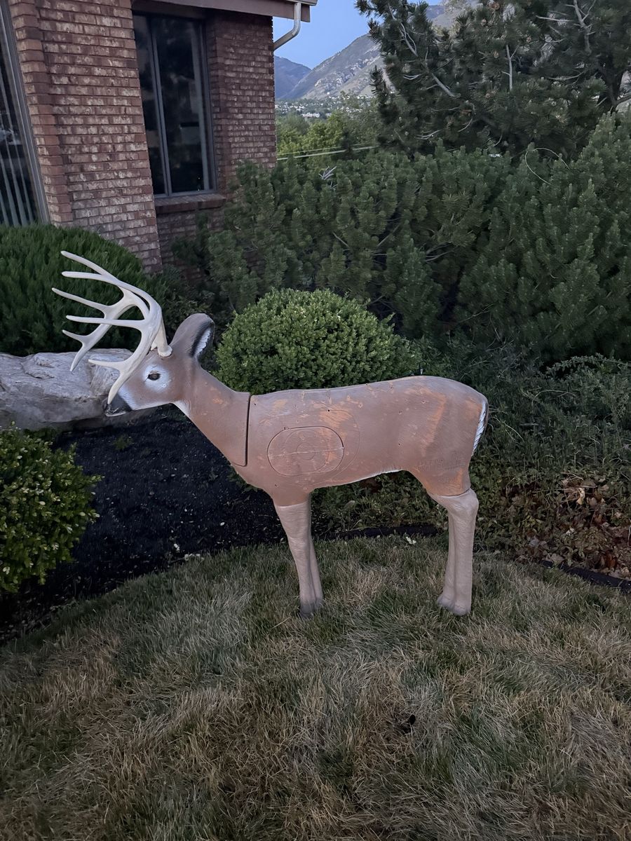 Deer target