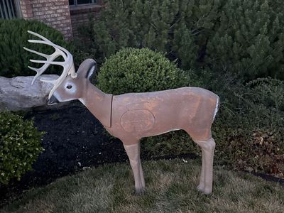 Deer target
