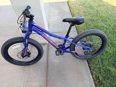 20” Blue Kids Riprock Mountain Bike