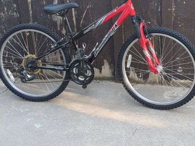 2005 Diamondback Outlook