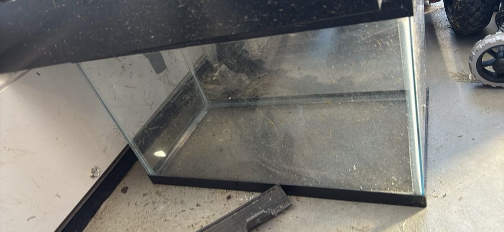 10 Gallon Glass Aquarium