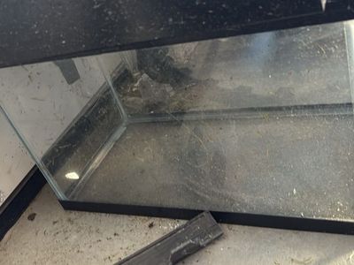 10 Gallon Glass Aquarium