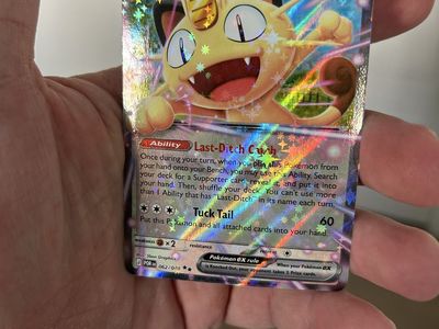 Just Opened Meouth Perfect Order Set