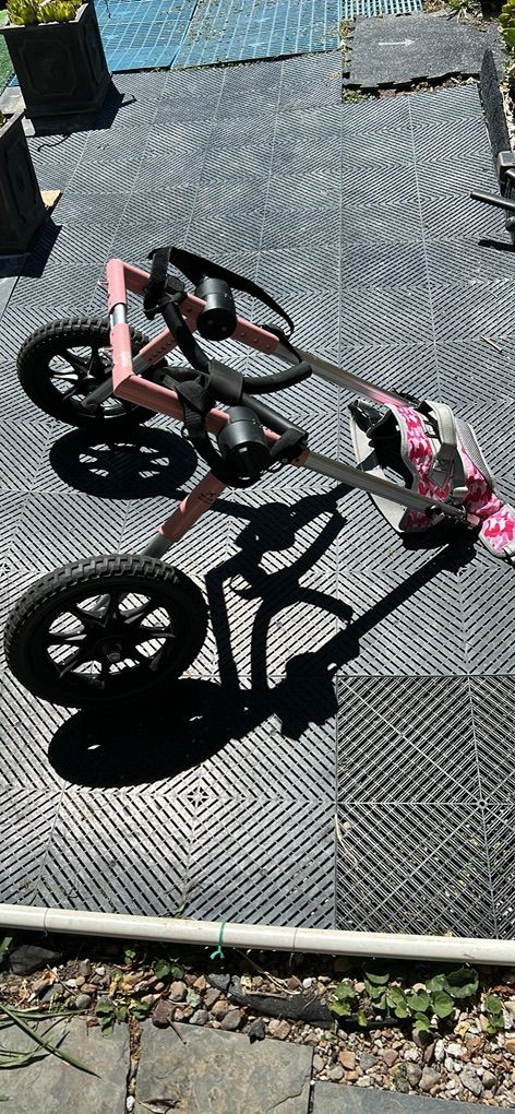 Walkin Wheels Pink Dog Wheelchair Size Large.