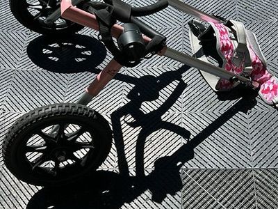 Walkin Wheels Pink Dog Wheelchair Size Large.