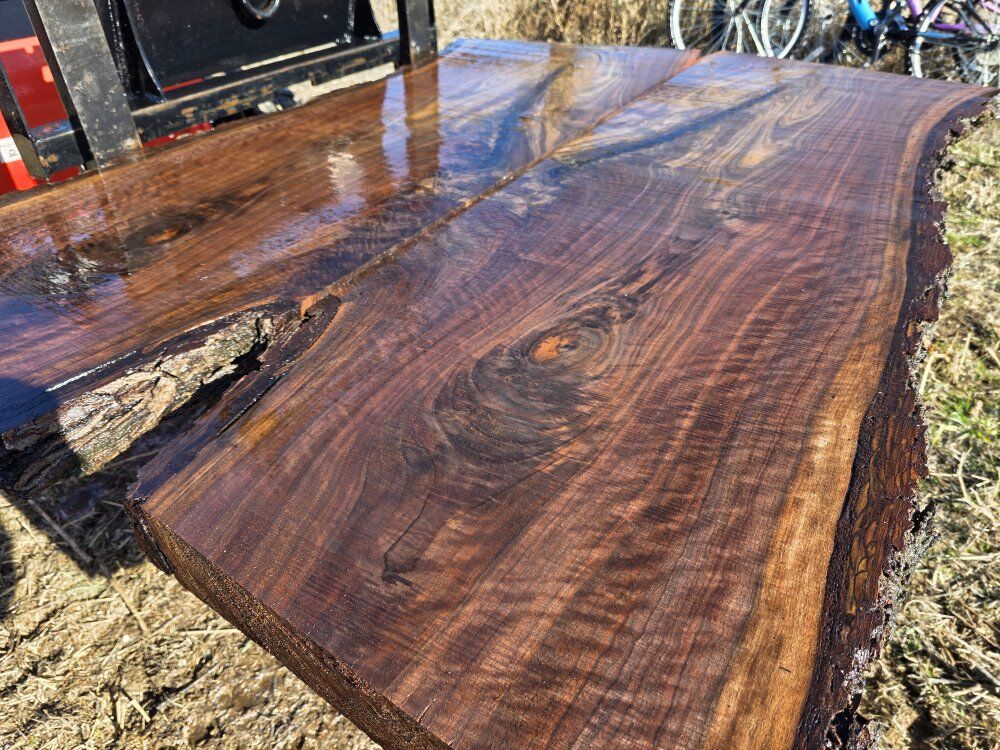 Black Walnut