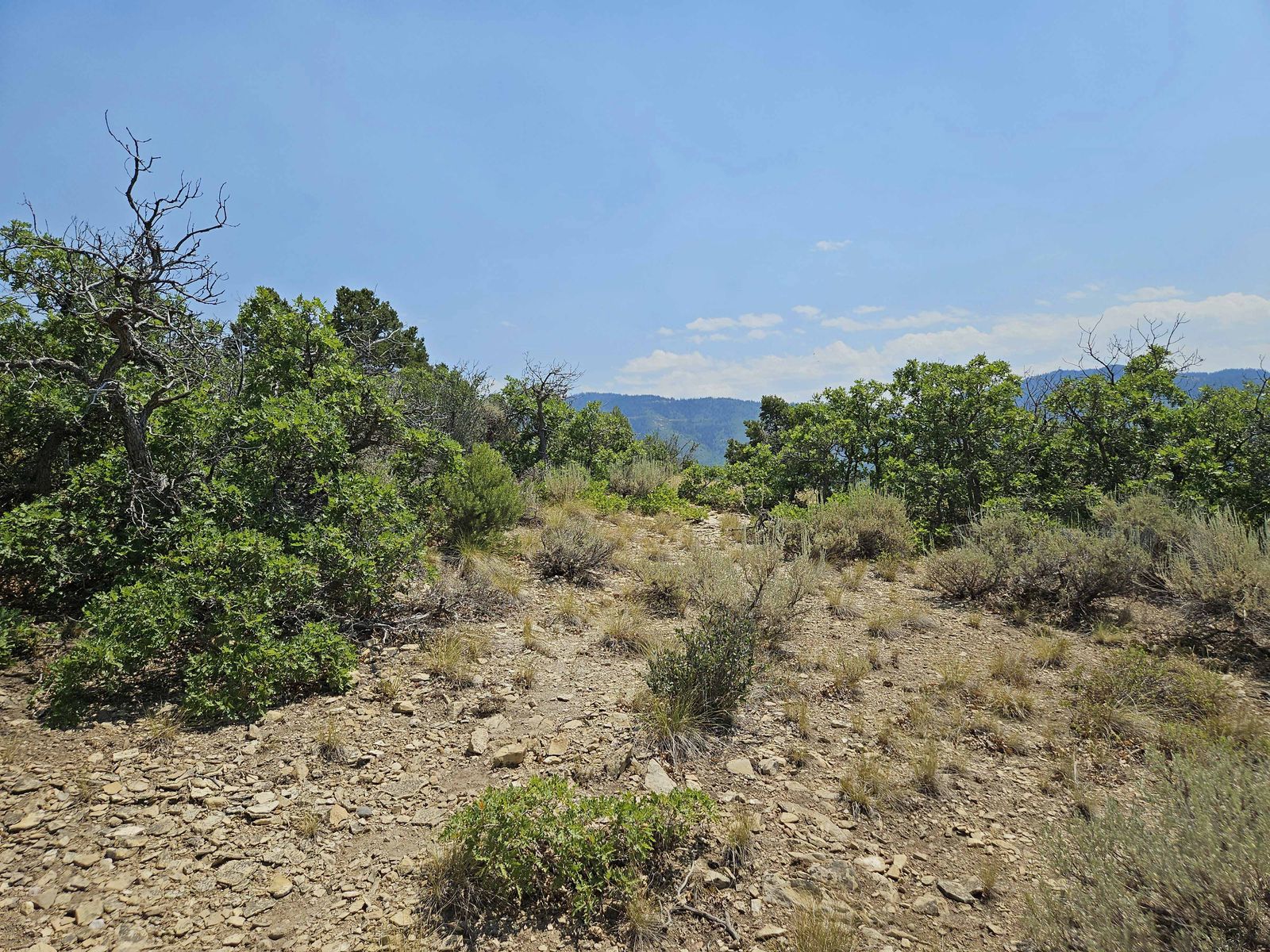 Main image 9