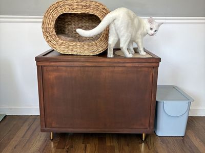 Solid wood chest