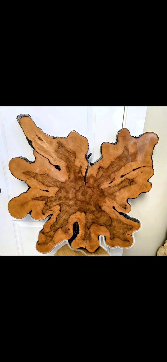 CYPRESS WOOD SLAB COFFEE TABLE TOP OR WALL ARTCYPRESS WOOD SLAB COFFEE TABLE TOP OR WALL ART