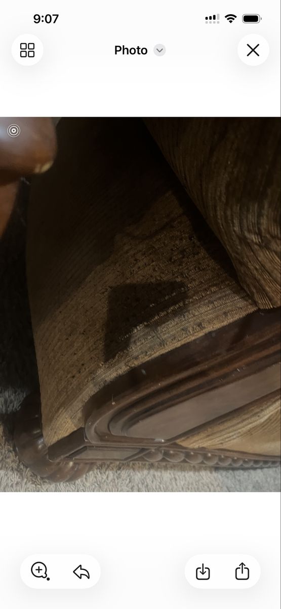 Main image 4