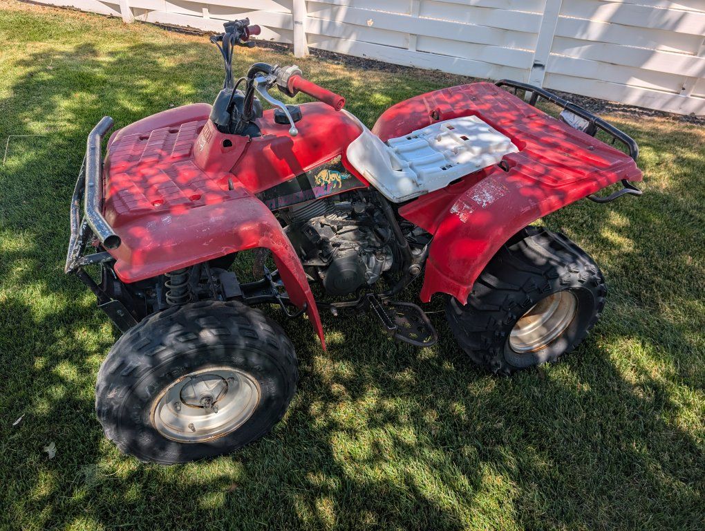 94 Yamaha Timberwolf