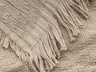 Cozy Neutral Fringed Throw Blanket - Soft Woven Texture