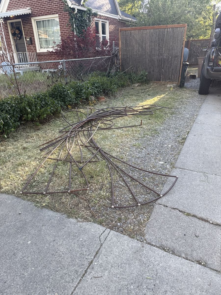 Free netafim drip irrigation