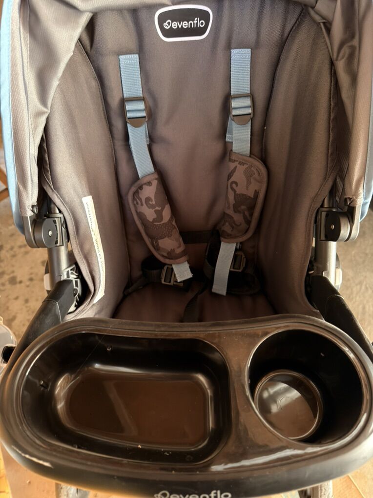 Evenflo Child & Pet Stroller