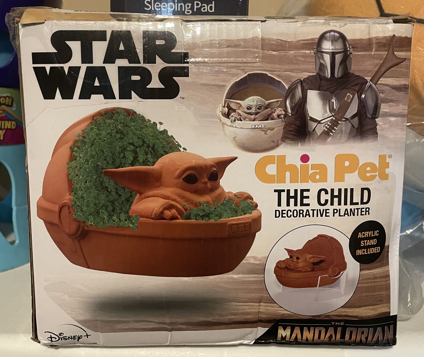 Star Wars The Child Chia Pet