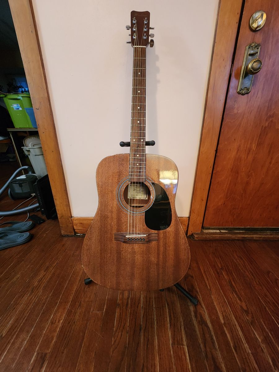 Hohner acoustic guitar and hard case.  Perfect shape.  Sounds great.  New strings.