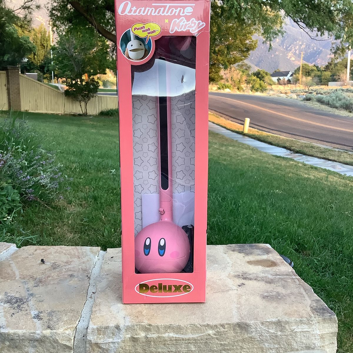 New Otsmatone Kirby electric music instrument