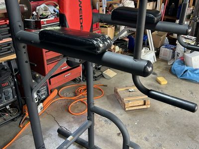 Weider Power Tower with Dip Station & Pull-Up Bar