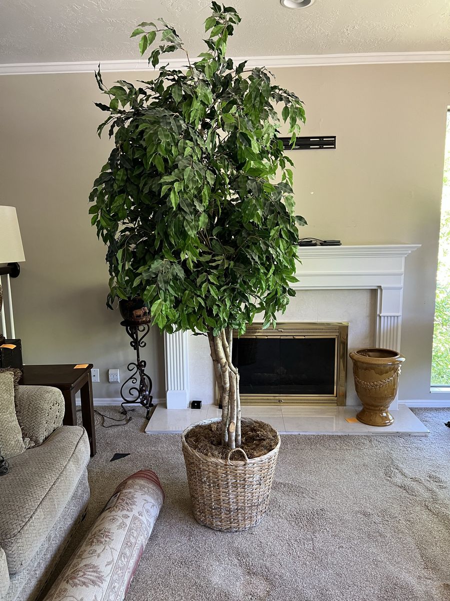 Large Artificial Ficus Tree in Woven Basket - Lifelike Greenery Decor