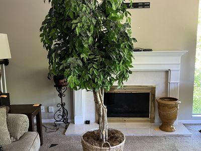 Large Artificial Ficus Tree in Woven Basket - Lifelike Greenery Decor