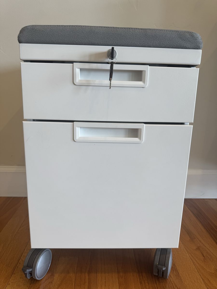 Modern Rolling File Cabinet / Storage Bench with Cushion Seat
