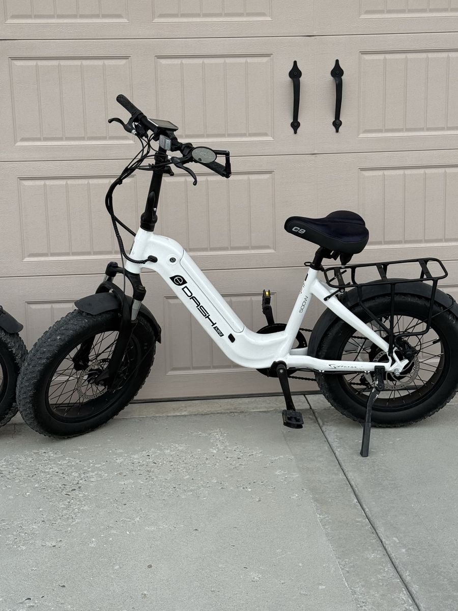 Electric Bike