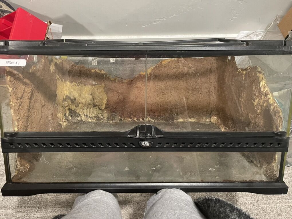 Reptile enclosure, Comes As Is