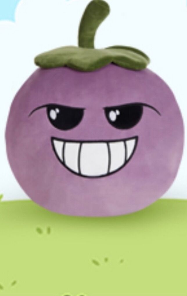 Brand New 12 Soft Plush Pillow,