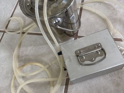 Used Milker Goats Sheep Cow