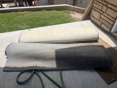 Free rugs