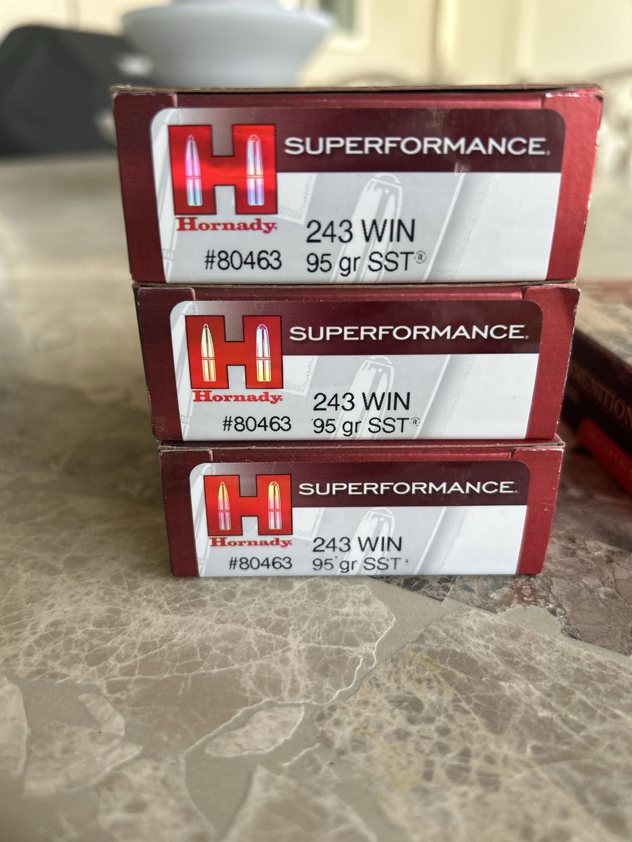 Hornady 243 ammo