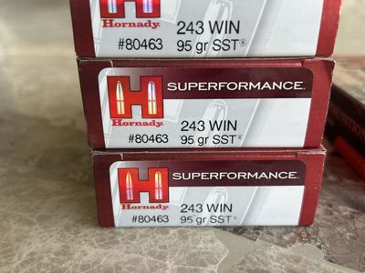 Hornady 243 ammo