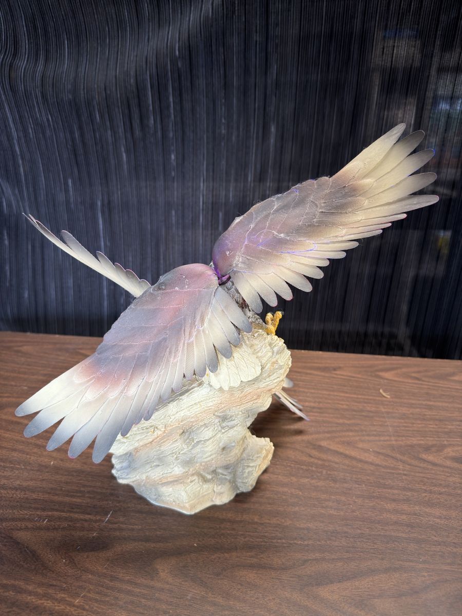 Main image 4