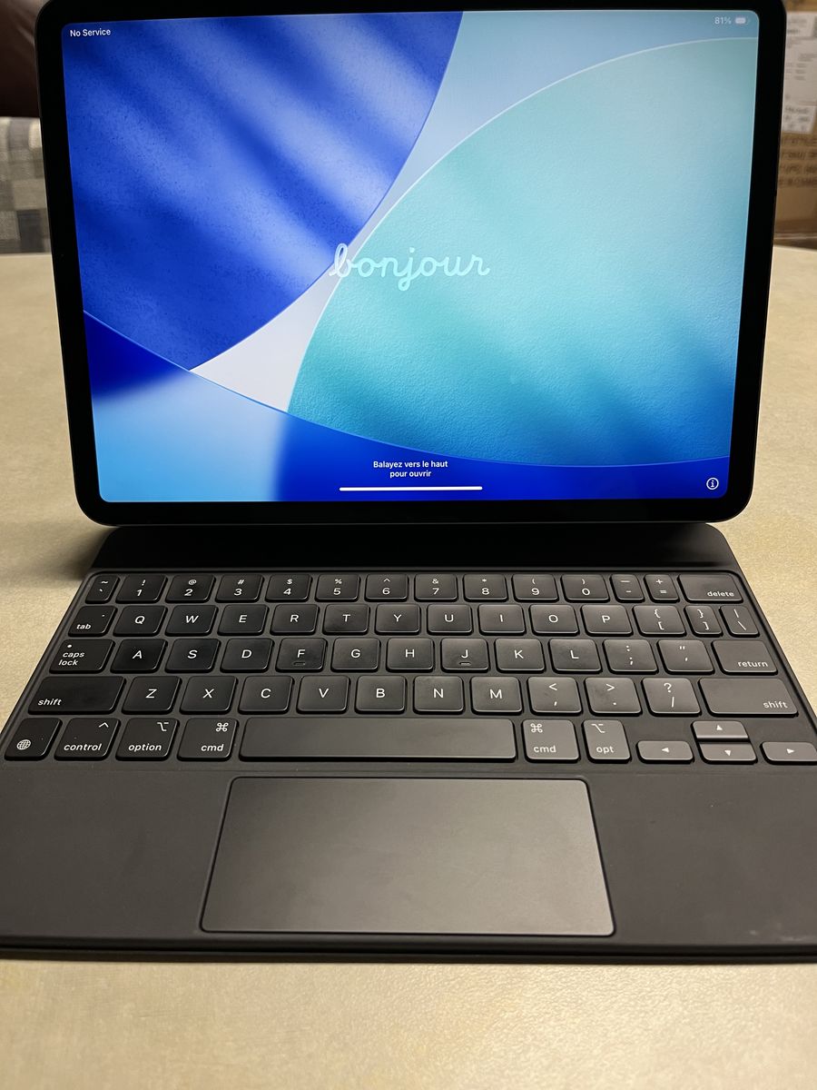 iPad Pro 11" 3rd gen. with cellular