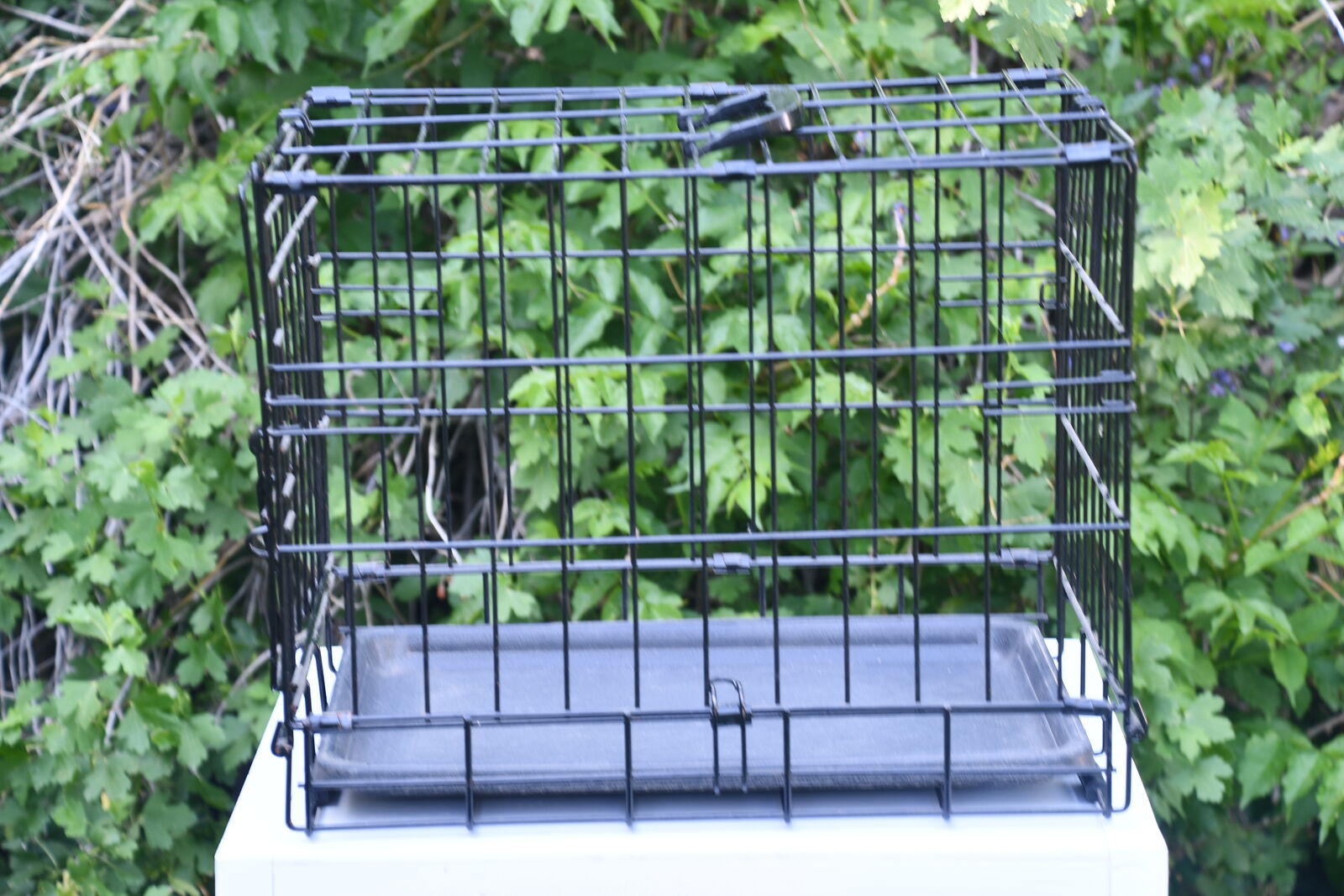 Pet Heavy Metal Carrying Cage with plastic  tray.