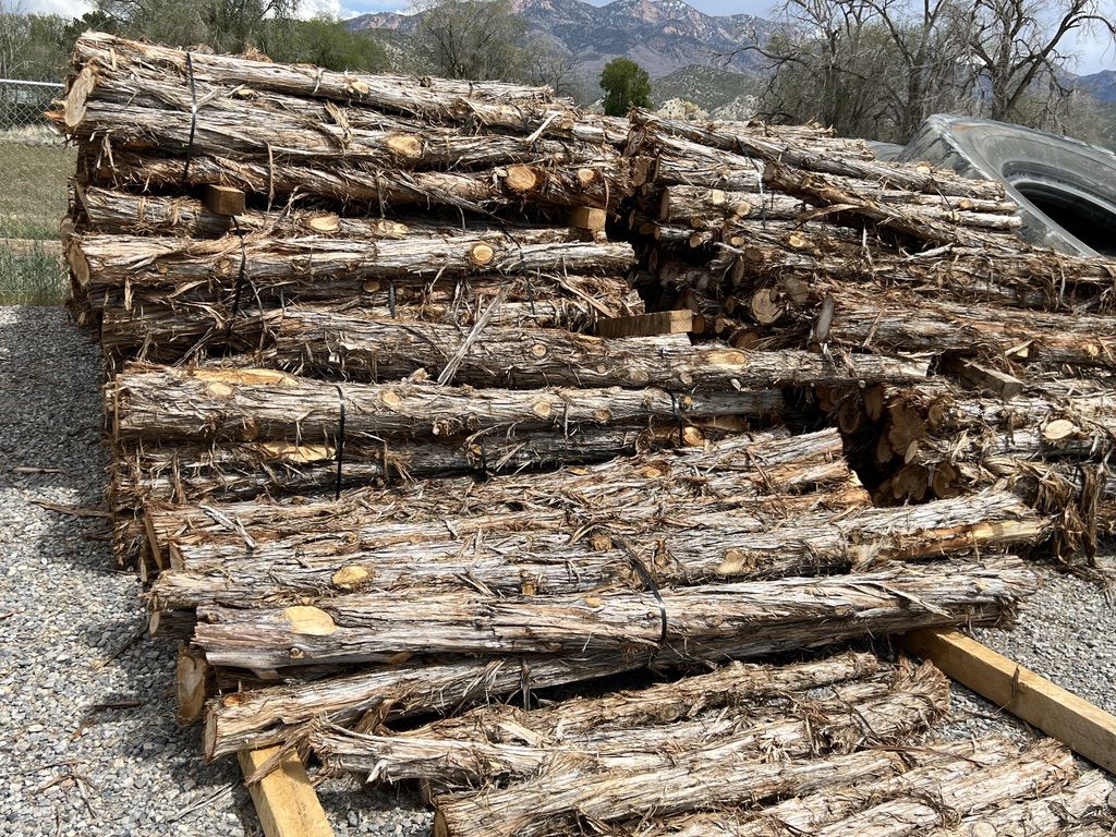 Cedar Posts