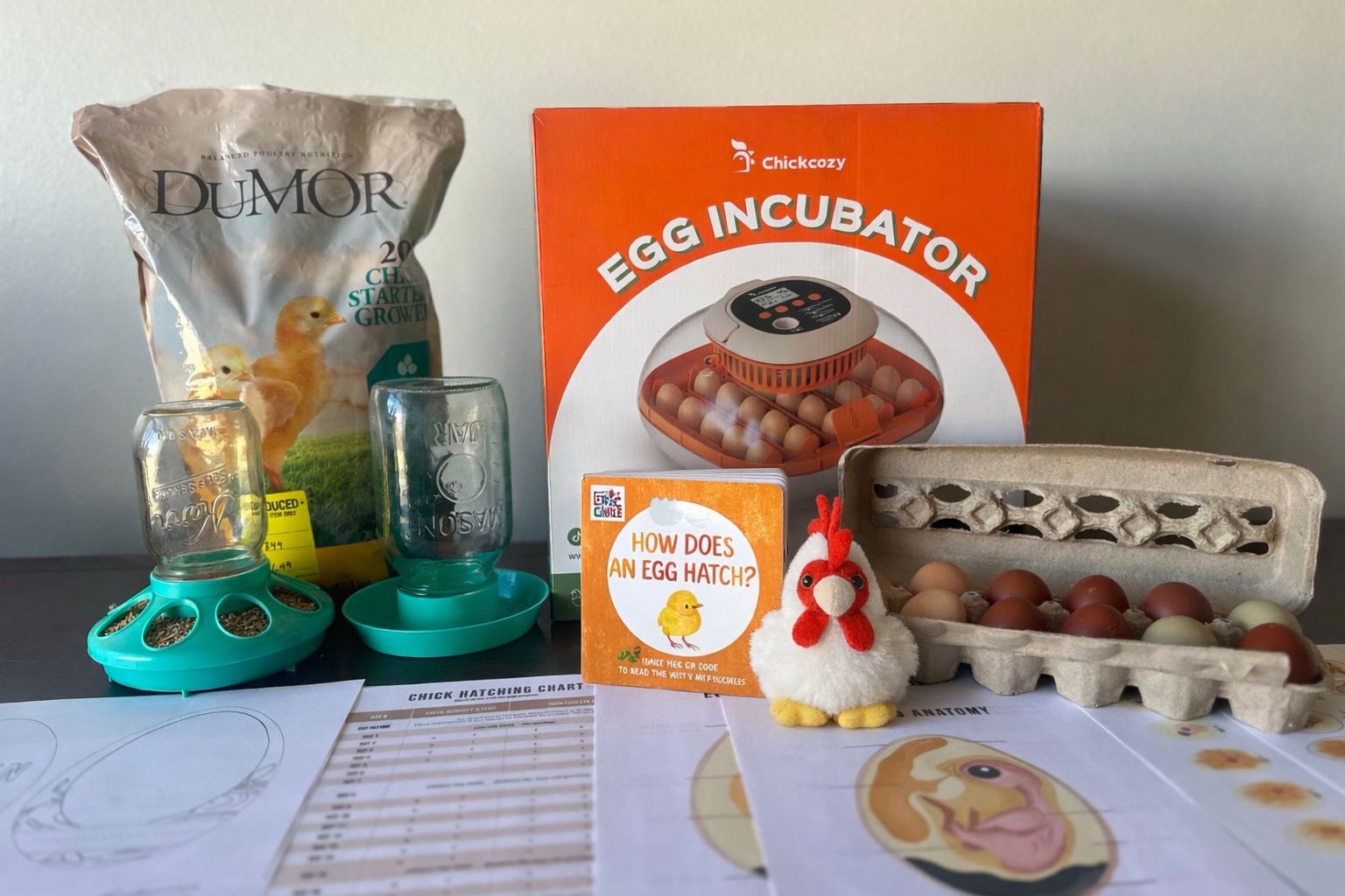 Kids Chick Hatching Kit