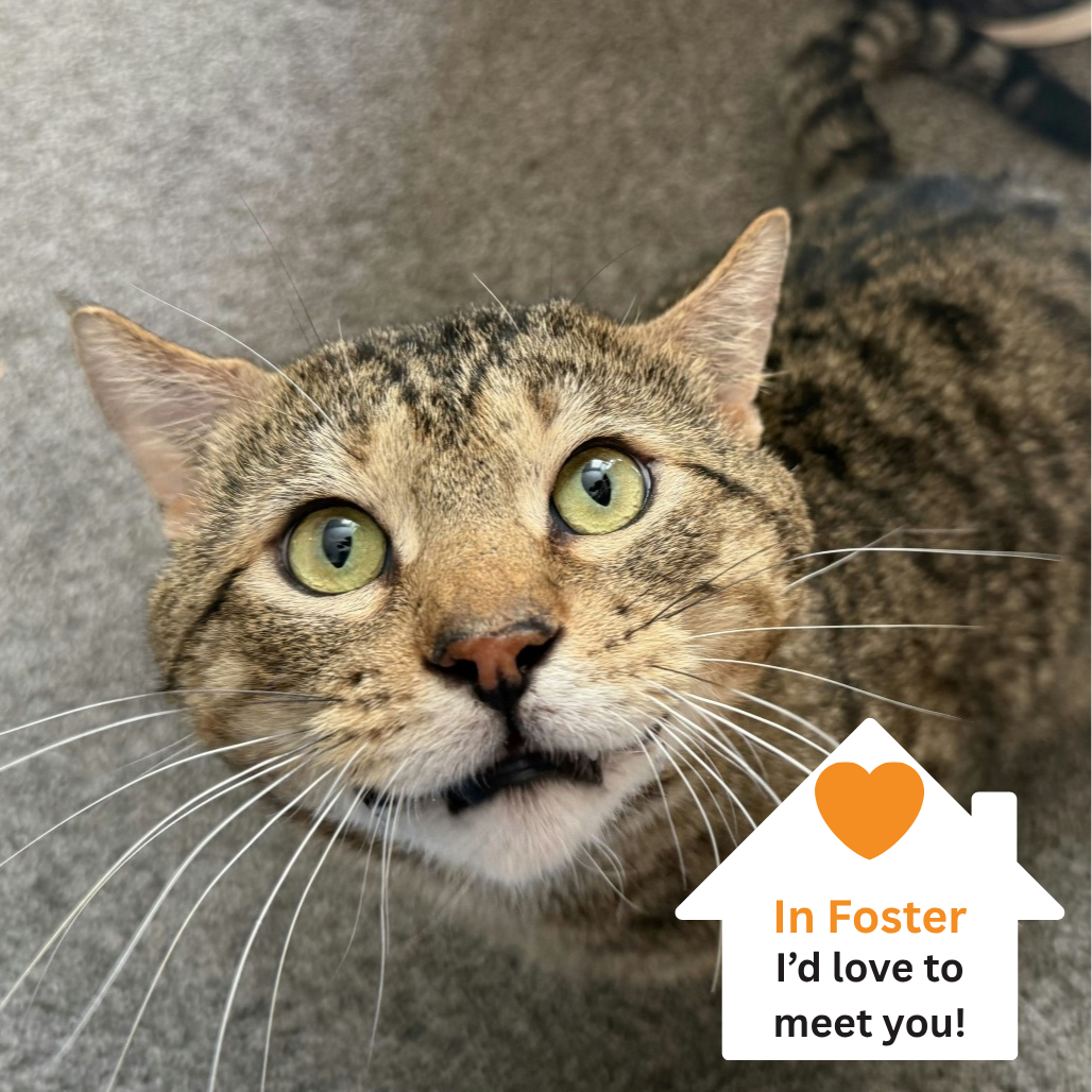 Hello my name is Butch Cassidy