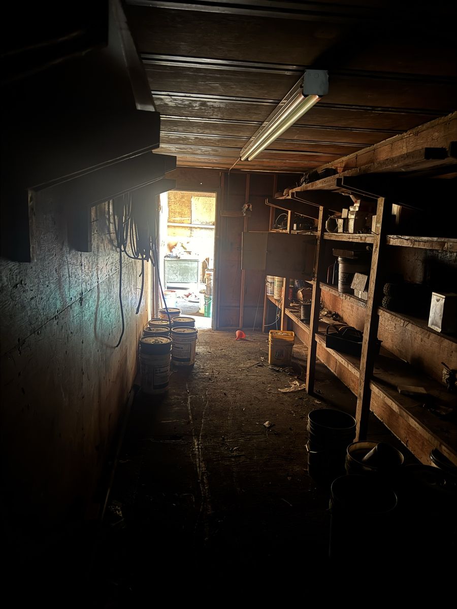 Main image 5