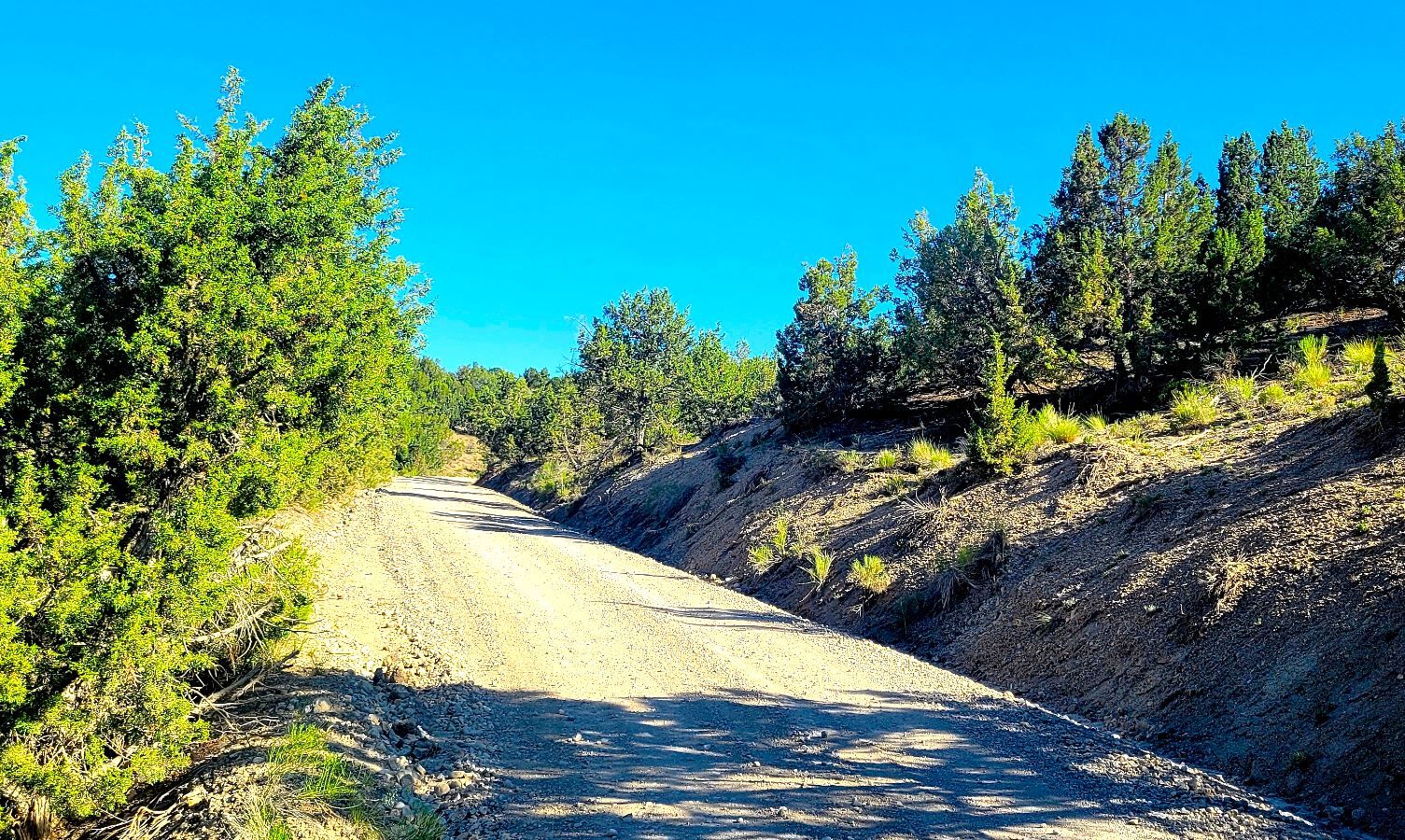 1.03 Acres of Freedom Just Outside Elko, Nevada