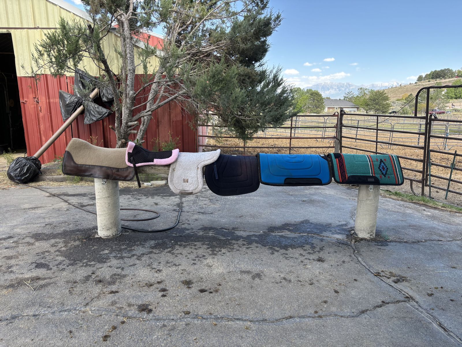 Various Horse Saddle Pads
