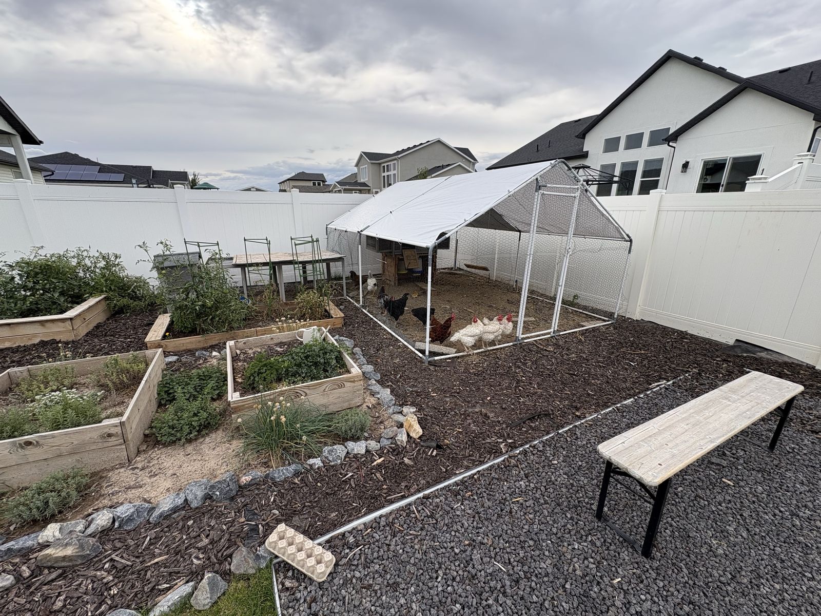 Large Walk-In Chicken Coop and Run with Weather Cover