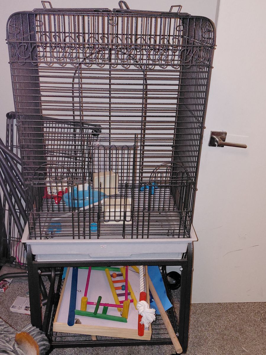 Large top opening bird cage