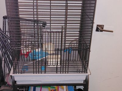 Large top opening bird cage